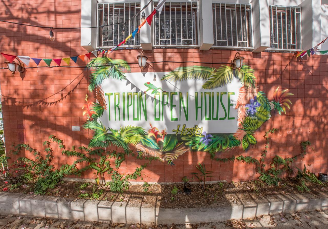 サンホセ Tripon Open Houseホステル エクステリア 写真